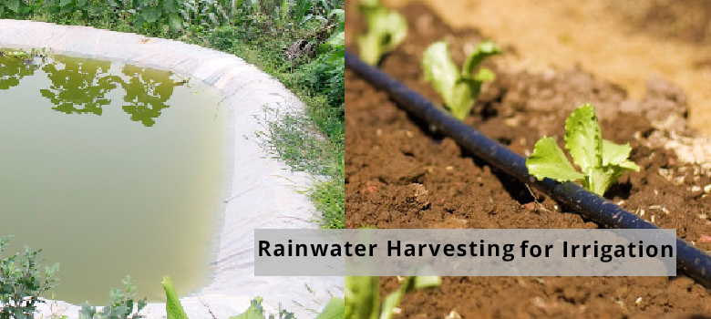 Kirnik Group rainwater-harvesting